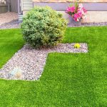 backyard grass ideas