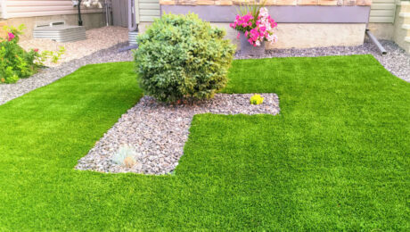 backyard-grass-ideas